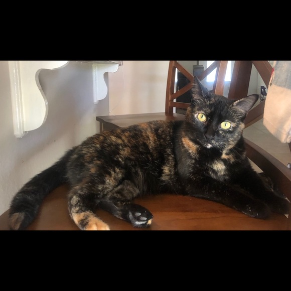 Meet your Posher, Araly - Picture 3 of 8